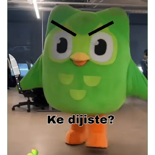 duolingo