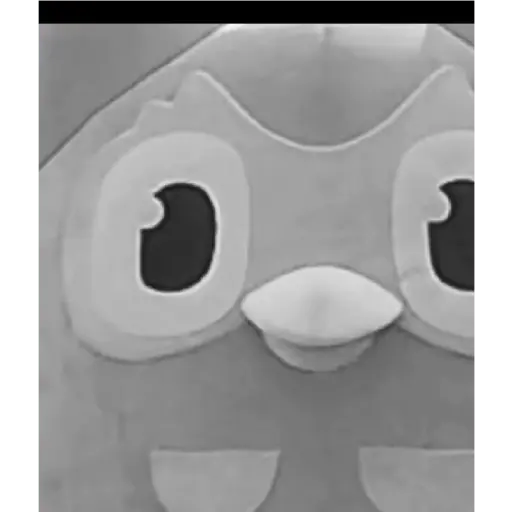 duolingo