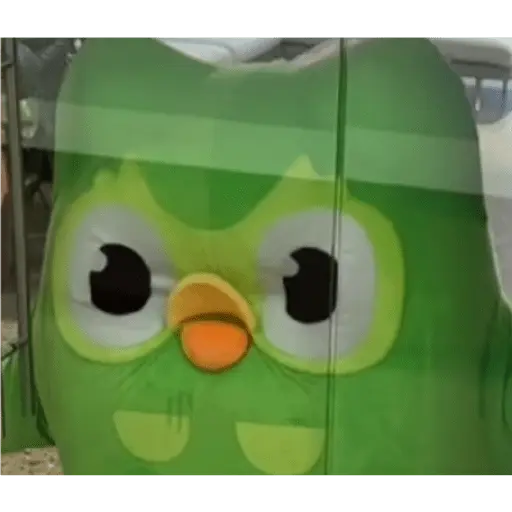 duolingo