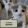 amor/cantadas