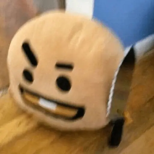bt21 meme