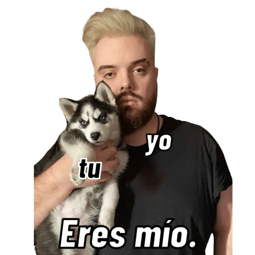 ▶️Stickers del Papi Ibai🎮😂