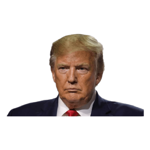 Donald Trump preview