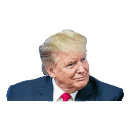 Donald Trump preview