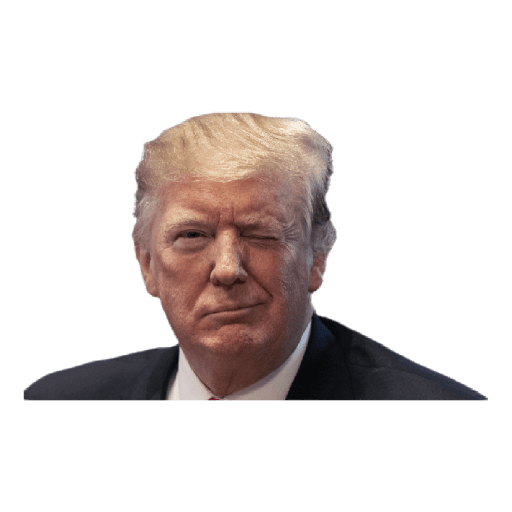 Donald Trump preview