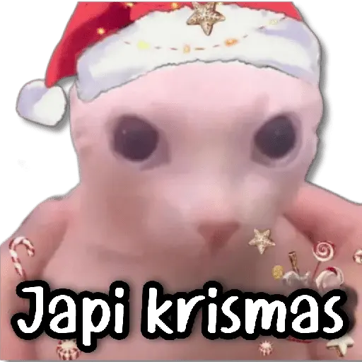 Memes Navideños #① 🎁