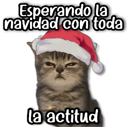 Memes Navideños #① 🎁