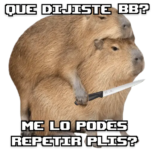memes de carpinchos capibaras