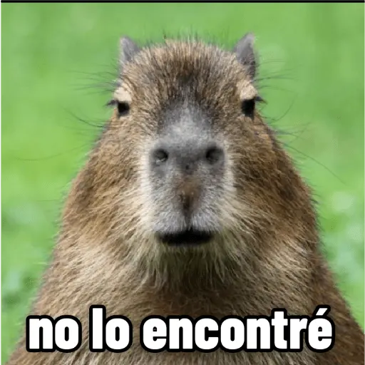 memes de carpinchos capibaras