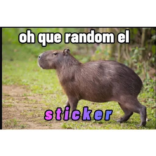 memes de carpinchos capibaras