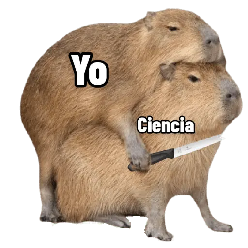 memes de carpinchos capibaras