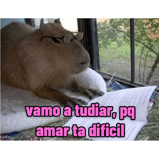memes de carpinchos capibaras