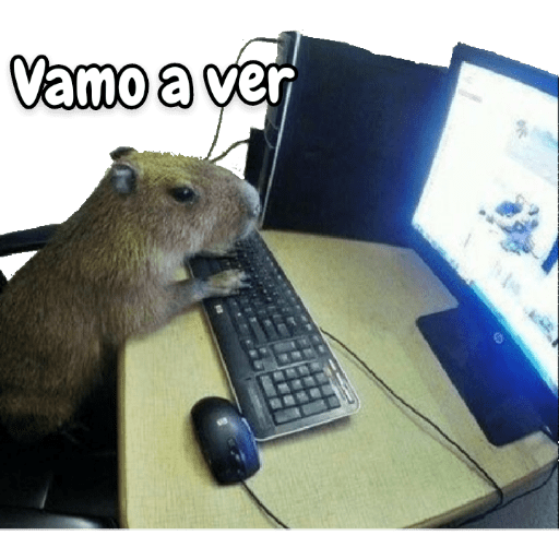 memes de carpinchos capibaras preview