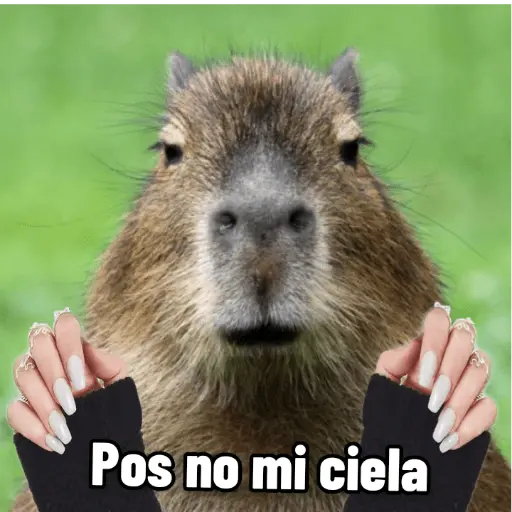memes de carpinchos capibaras