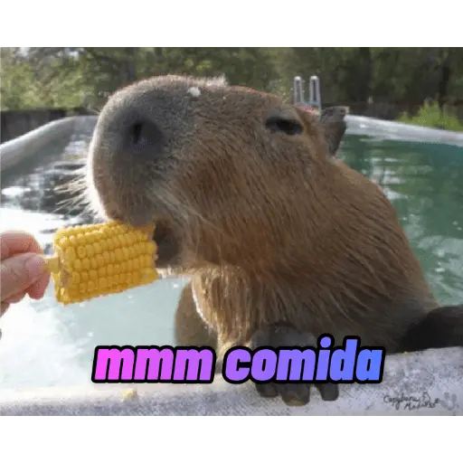 memes de carpinchos capibaras