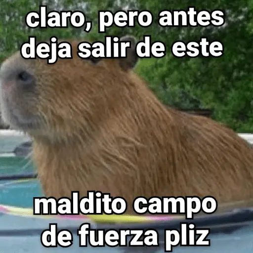 memes de carpinchos capibaras