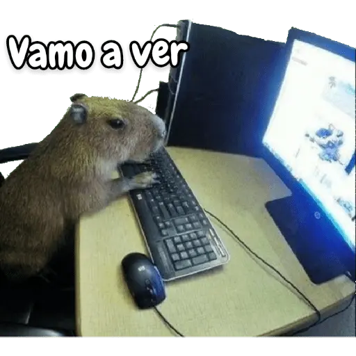 memes de carpinchos capibaras