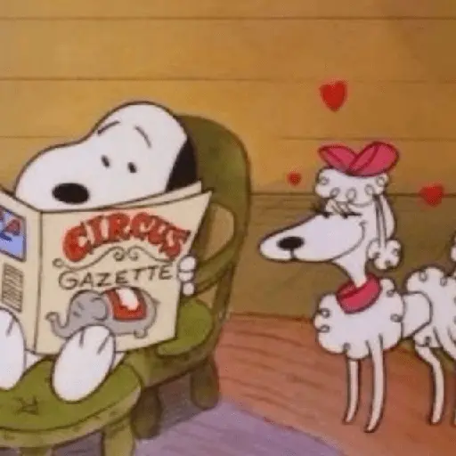 🫐🩷 Snoopy Amoroso 🩷🫐