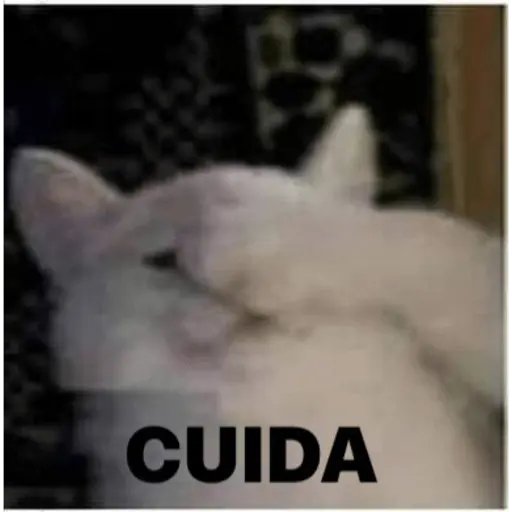 Memes para contestar 2
