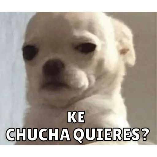 Memes para contestar 2