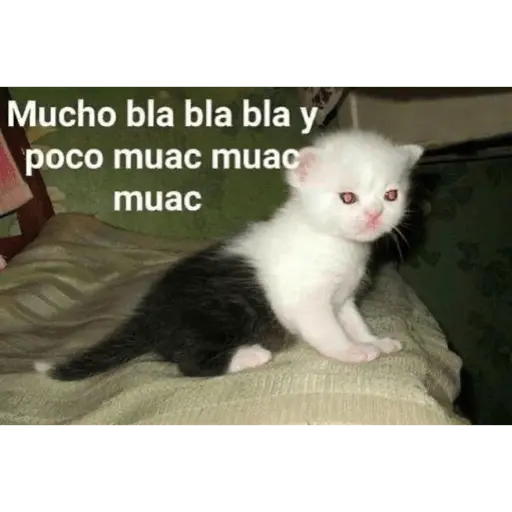 Memes para contestar 2