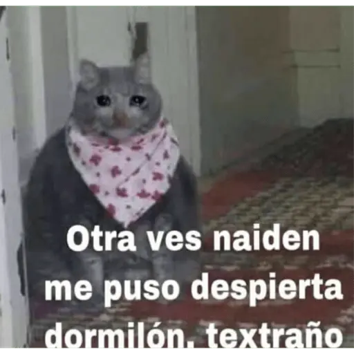 Memes para contestar 2