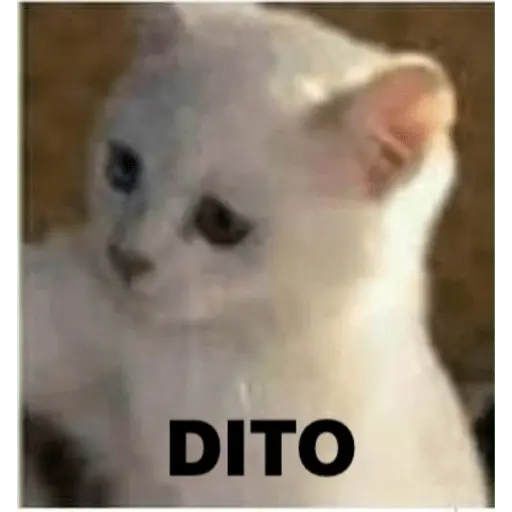 Memes para contestar 2