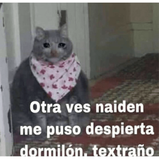 Memes para contestar 2 preview