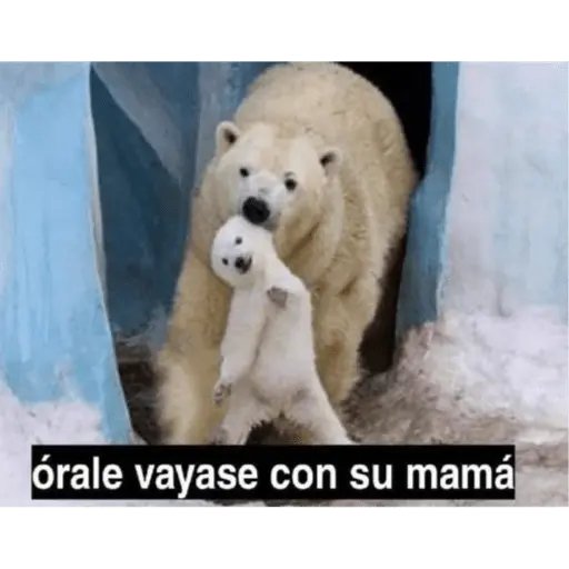 Memes para contestar 2