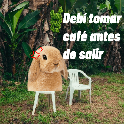 🌴 DtMF frases 🪑 Bad Bunny 🐰 preview