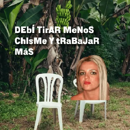 🌴 DtMF frases 🪑 Bad Bunny 🐰