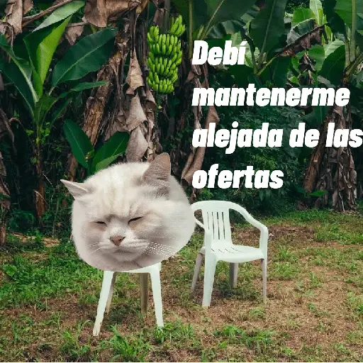 🌴 DtMF frases 🪑 Bad Bunny 🐰