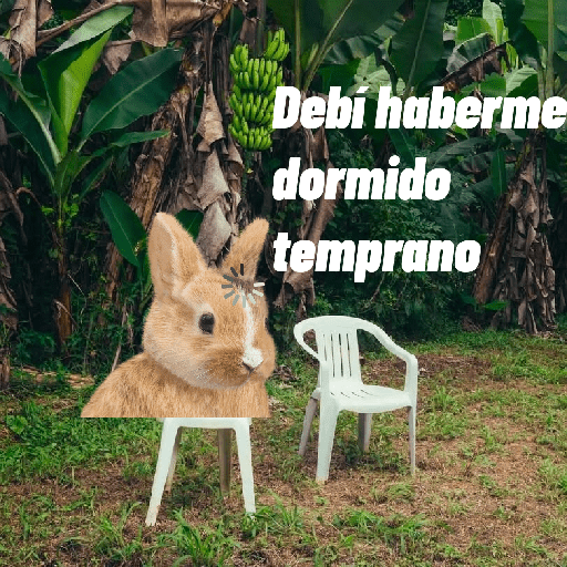 🌴 DtMF frases 🪑 Bad Bunny 🐰 preview