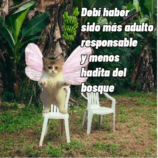 🌴 DtMF frases 🪑 Bad Bunny 🐰
