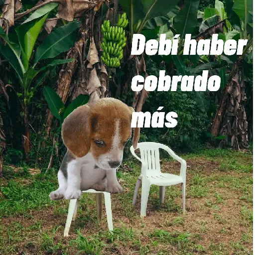 🌴 DtMF frases 🪑 Bad Bunny 🐰