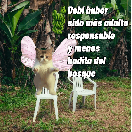 🌴 DtMF frases 🪑 Bad Bunny 🐰 preview