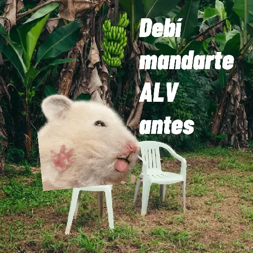 🌴 DtMF frases 🪑 Bad Bunny 🐰
