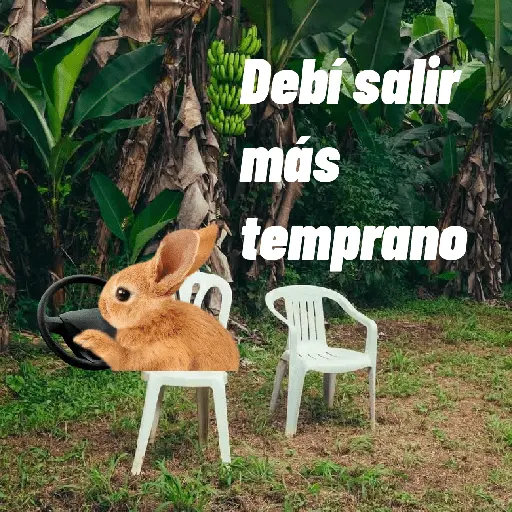🌴 DtMF frases 🪑 Bad Bunny 🐰