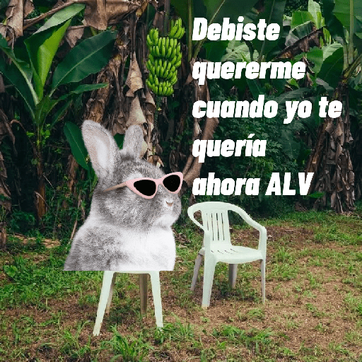 🌴 DtMF frases 🪑 Bad Bunny 🐰 preview
