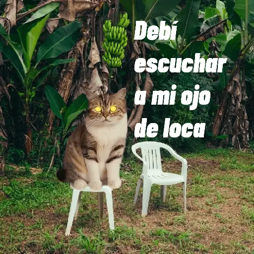 🌴 DtMF frases 🪑 Bad Bunny 🐰