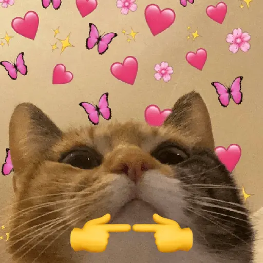 Gatitos de amor 😺💘💞