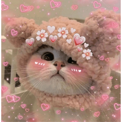 Gatitos de amor 😺💘💞 preview