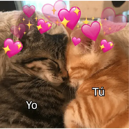 Gatitos de amor 😺💘💞