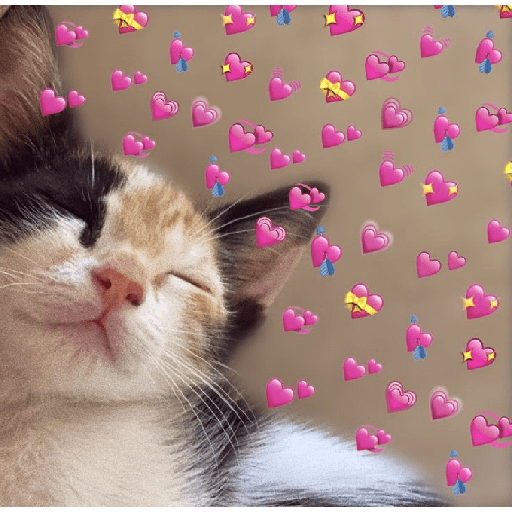 Gatitos de amor 😺💘💞 preview