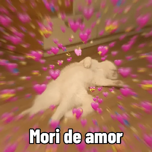 Gatitos de amor 😺💘💞