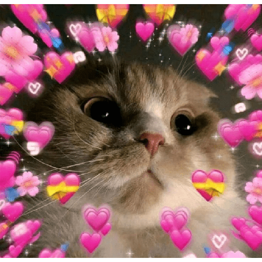 Gatitos de amor 😺💘💞 preview