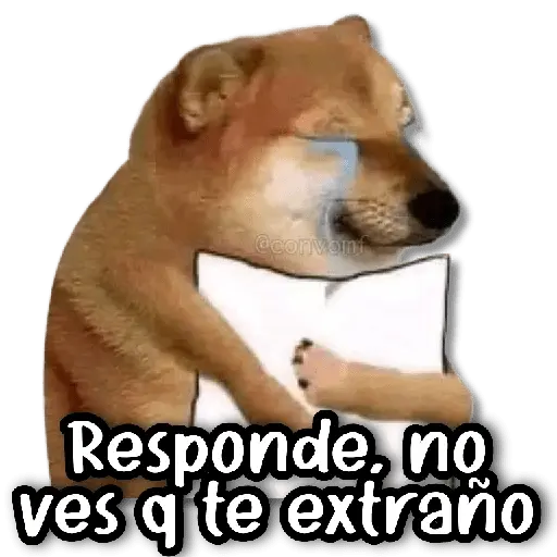 🎅🏻 Stickers de Todo #①① 🎅🏻