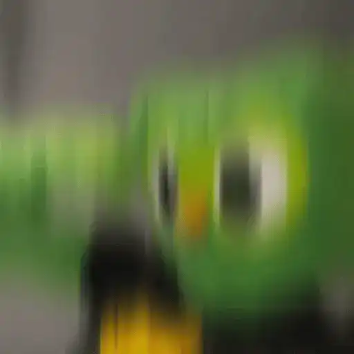 Memes Duolingo Br