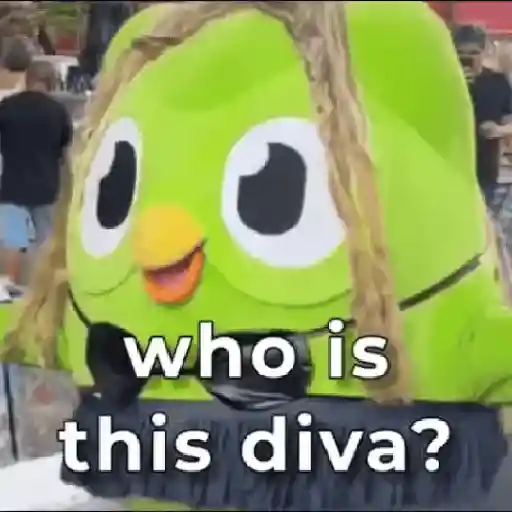 Memes Duolingo Br