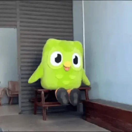 Memes Duolingo Br